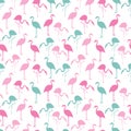 Colorful Pink and turquoise flamingo seamless background