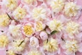 Colorful pink and yellow flowers background