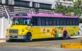 Colorful pink yellow green Xcaret bus Playa del Carmen Mexico