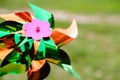 Colorful pinwheel against green grass Royalty Free Stock Photo