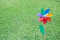 Colorful pinwheel in the garden Royalty Free Stock Photo