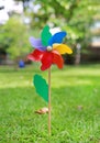 Colorful pinwheel on the green grass Royalty Free Stock Photo