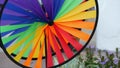 Colorful pinwheel spinning, weather wind vane, garden decoration in USA. Rainbow symbol of childhood, fantasy and imagination