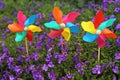 Colorful pinwheel toys between blue flowers