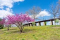 Colorful Plants and Flowers during Spring in front of a Portion of the Hell Gate Railroad Bridge on Randalls and Wards Islands of Royalty Free Stock Photo