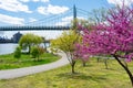 Colorful Plants and Flowers during Spring on the Riverfront of Randalls and Wards Islands with the Triborough Bridge of New York C Royalty Free Stock Photo