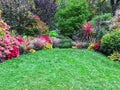 Colorful plants surrounding a green lawn