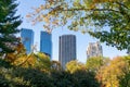 Colorful Plants and Trees during Autumn at Central Park in New York City with Tall Skyscrapers in the background Royalty Free Stock Photo