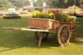 Colorful Plants on a Wheelbarrow. Royalty Free Stock Photo