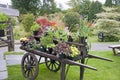 Colorful Plants on a Wheelbarrow Royalty Free Stock Photo