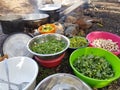 Field cooking- edible plants and vegetables in bowels and puts on the fire Royalty Free Stock Photo