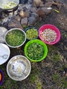 Field cooking- edible plants and vegetables in bowels and puts on the fire Royalty Free Stock Photo