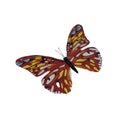 A colorful plastic butterfly