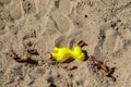 Colorful plastic children toys in sandbox at a playing ground Royalty Free Stock Photo