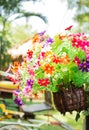 Colorful Plastic flowers in wooden vase Royalty Free Stock Photo