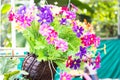 Colorful Plastic flowers in wooden vase Royalty Free Stock Photo