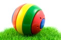 Colorful play ball on grass