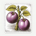 Colorful Plum Vines Stamp Design Inspired By Ravi Zupa