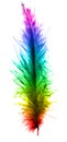 Colorful plume