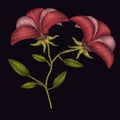 Colorful poinsettia flowers plant embroidery in black background Royalty Free Stock Photo