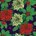 Colorful poinsettia and holly on dark blue background Royalty Free Stock Photo