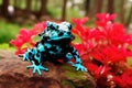Colorful poison dart frog on a rock with red flower.