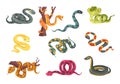 Colorful poisonous snakes. Cartoon suffocating reptiles. Creeping animals. Danger wildlife. Cobra and python. Venomous