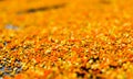 Colorful pollen. Royalty Free Stock Photo