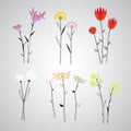 Colorful Polygonal Floral Objects Set