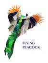 Colorful polygonal peacock