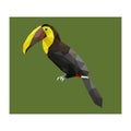 Colorful polygonal style design of tropical tucan bird