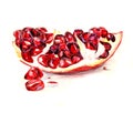 Colorful pomegranate