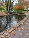 Colorful pond, Sonoma, California Royalty Free Stock Photo