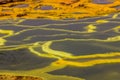 Colorful ponds in the volcanic landscape of Dallol, Danakil depression, Ethiop