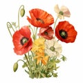 Colorful Poppy Bouquet: Victorian Era Inspired Watercolor Art