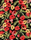 Colorful poppy pattern illustration background