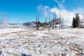 Colorful Porcelain Basin area trail in Yellowstone National Park,