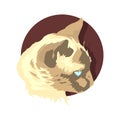 Colorful portrait of a cat muzzle. cat portrait beautiful eyes minimalistic graphic illustration Royalty Free Stock Photo
