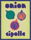 Colorful poster design with three onions and text onion cipolla Royalty Free Stock Photo