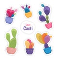 Colorful cacti cactus flower potted house plants