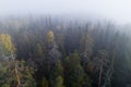 Colorful pristine taiga forest on a cliff Royalty Free Stock Photo