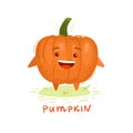 Colorful pumpkin illustration