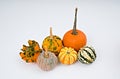 Colorful Pumpkin selection for Halloween