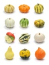 Colorful pumpkin and squash collection