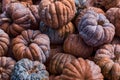 Colorful pumpkin variety from the new harvest autumn. Royalty Free Stock Photo