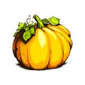 Colorful pumpkin vector drawing.