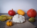 Colorful pumpkins on the table  helloween time Royalty Free Stock Photo