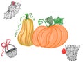 Colorful pumpkins and black & white basket with red details drawn by pencil, watercolor and acrylic paint for Halloween theme