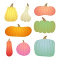 Colorful Pumpkins Harvest Set Royalty Free Stock Photo