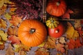 Colorful pumpkins, heather, leaves on brown background.